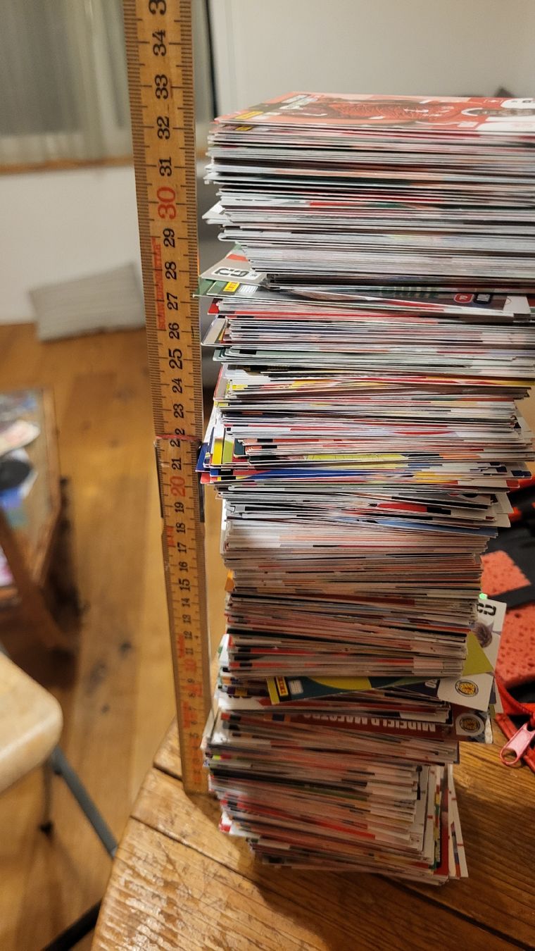 Panini Carte collezionabili: Panini Karten  – Usato da schüpfen venduto da hackedicht 2