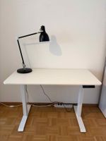 Elektrisch höhenverstellbares Sitz-Stehpult (120 x 60 cm)