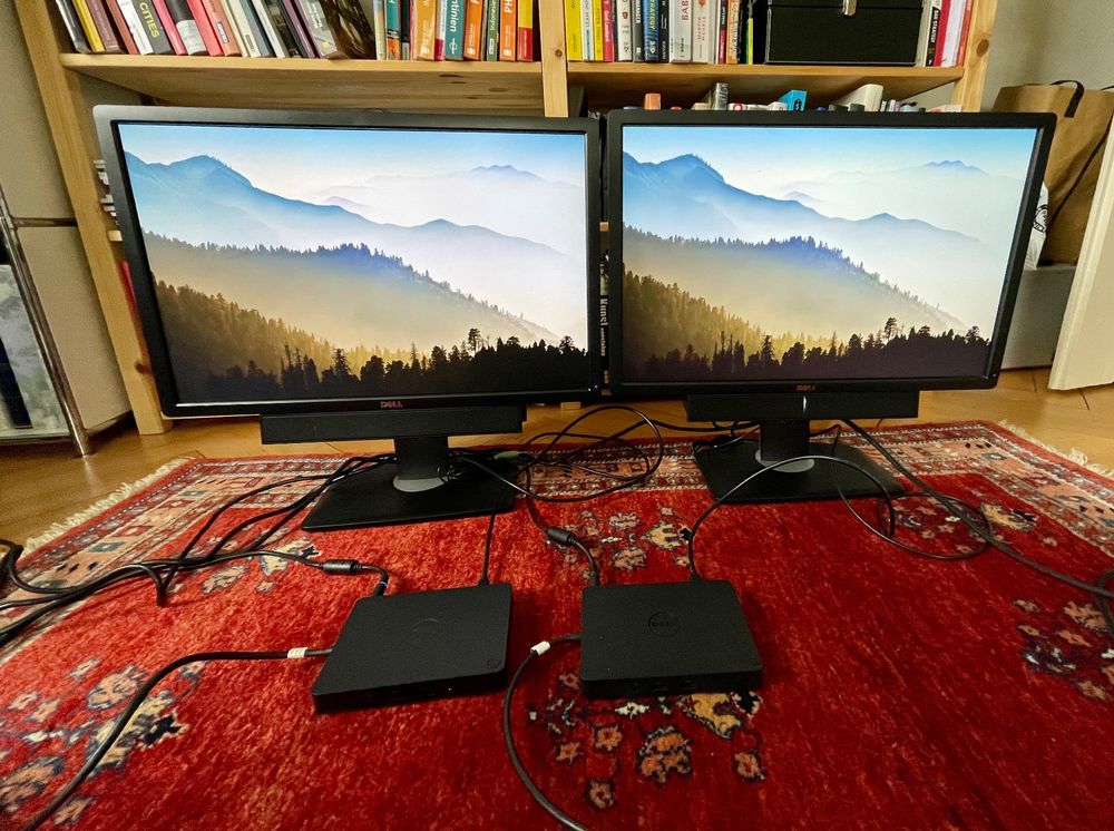 2x DellMonitore inkl. Lautsprecher & DockingStation Kaufen auf Ricardo
