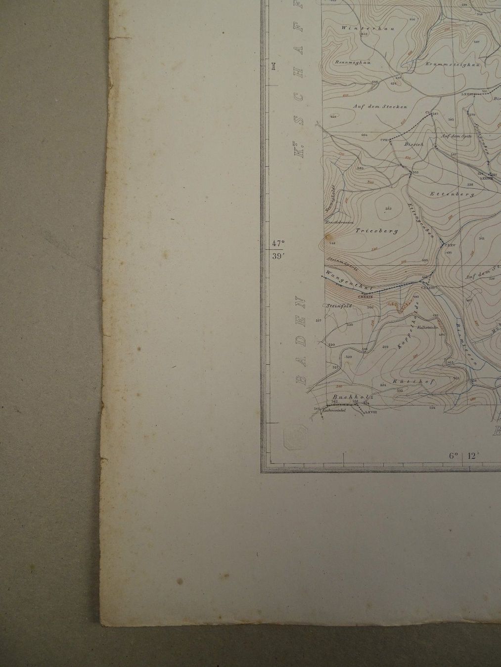 Cartine & Atlanti: RHEINAU, BENKEN, DACHSEN,  1865 – Usato da Grüningen venduto da Kartensammler 6