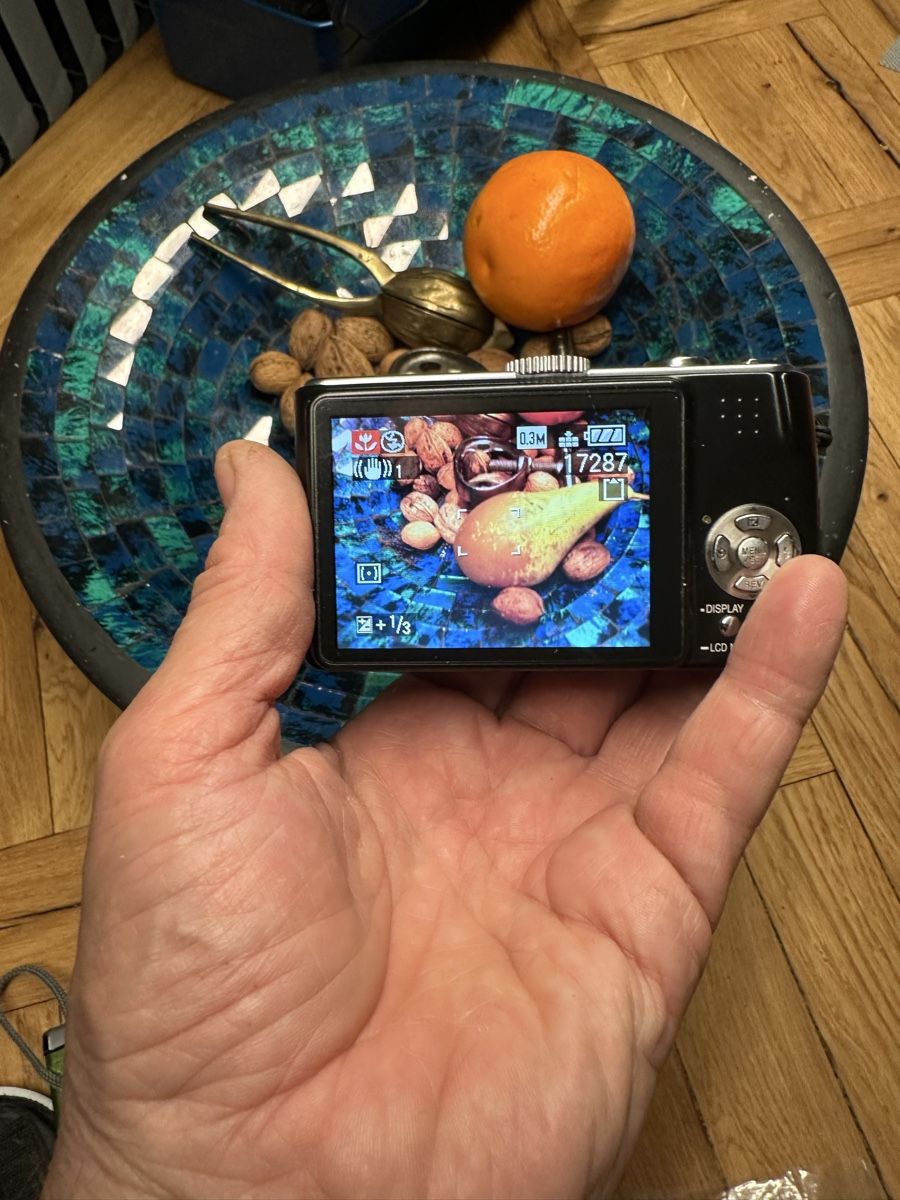 Panasonic Fotocamera: Panasonic Lumix TZ 3 – Usato da Burgdorf venduto da Breton 1