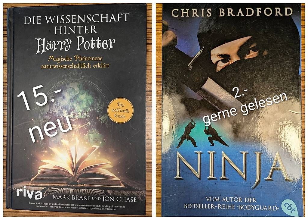 Livres: Jugendbücher  – D'occasion à ettingen par Shaneri