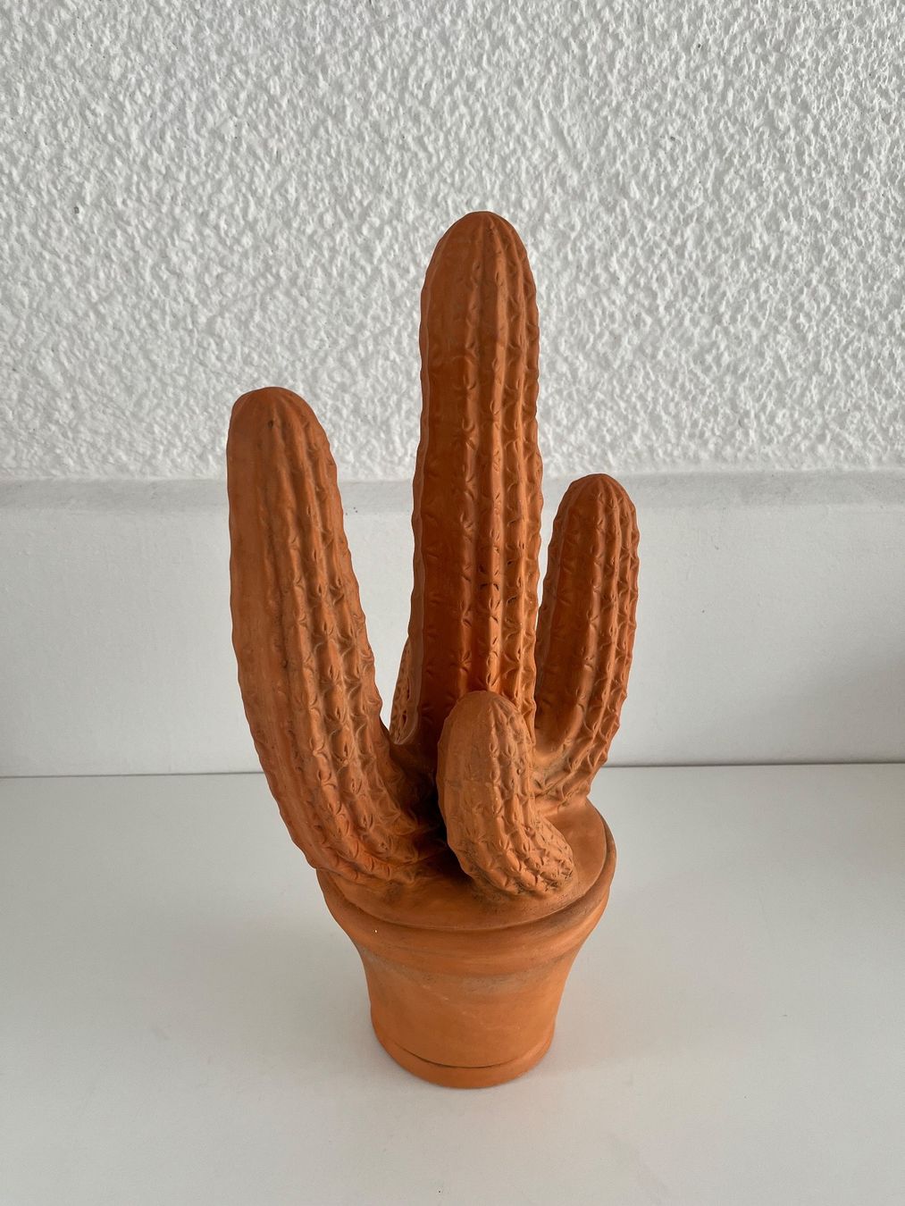 Tutte le decorazioni: Kaktus aus Terracotta – Usato da Wetzikon ZH venduto da seli03 8