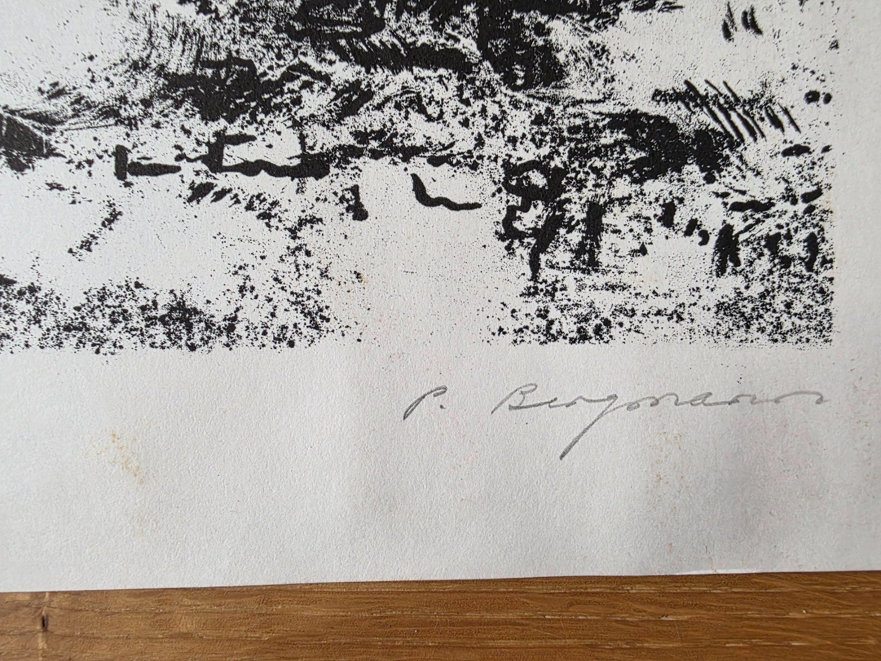 Grafica & Litografie: Lithografie Bild Bär - P. Bergmann handsigniert – Usato da Walterswil BE venduto da Lonitti 4