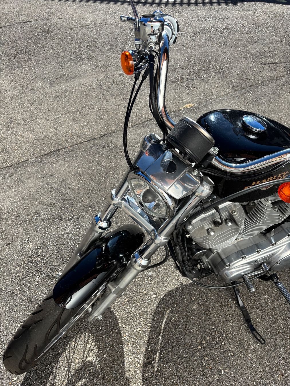 Autres: Harley XL883 – D'occasion à Essertines-Yverdon par mel_t22x 2