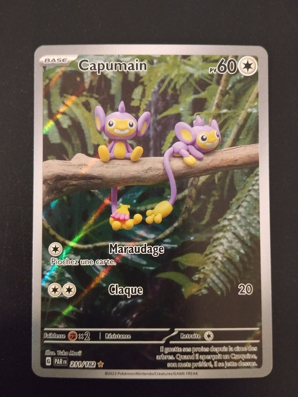 Pokémon Carte collezionabili: Pokémon Faille Paradoxe: Capumain 211/182 FR – Usato da Palézieux-Village venduto da oufoux08