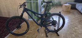 Santa Cruz 5010 Grösse L