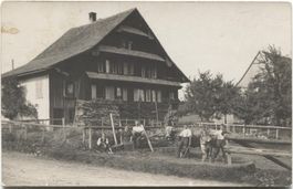 LANDWIRTSCHAFT/BAUERNFAMILIE 1920 mit Kuh und Hund SG?