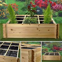 Mucola 50003138 Hochbeet Blumenkasten