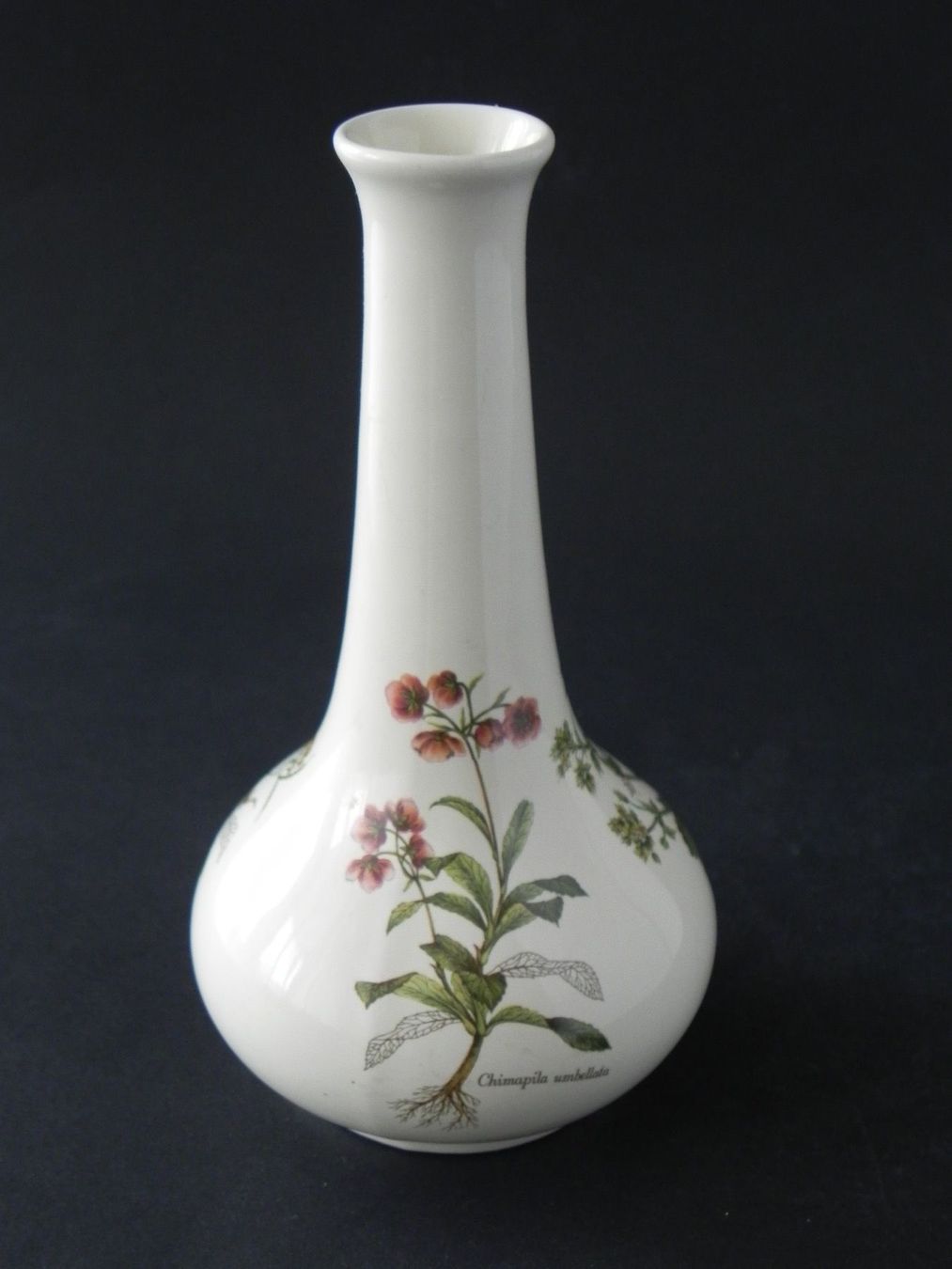 Vasi & Recipienti: Hübsche kleine Vase Poole - England – Nuovo (secondo la descrizione) da Zürich venduto da LodgE-21 2