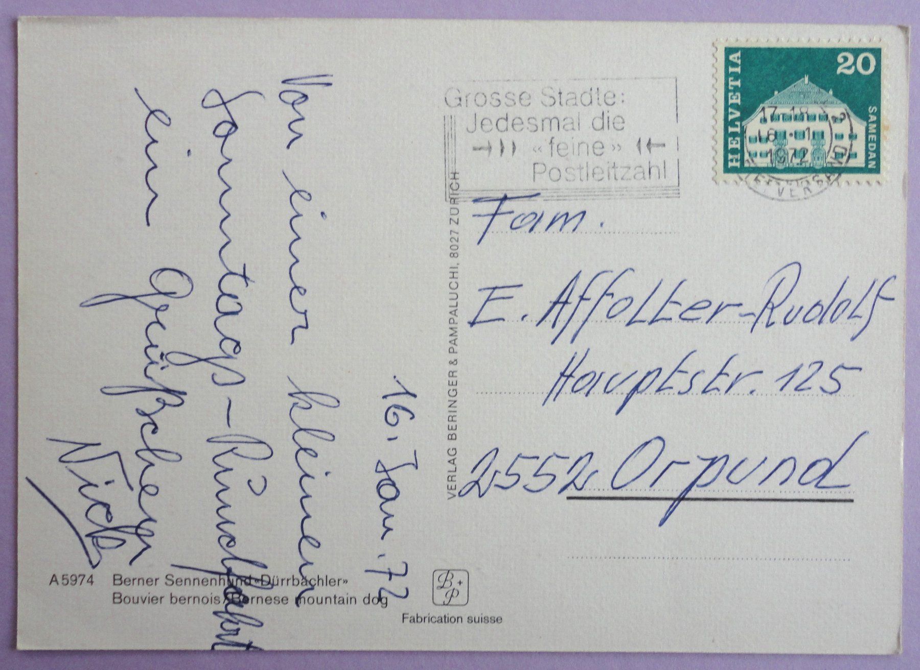 Cartoline postali: Berner Sennenhund "Dürrbächler" – Usato da Fétigny venduto da Billy2miny 1