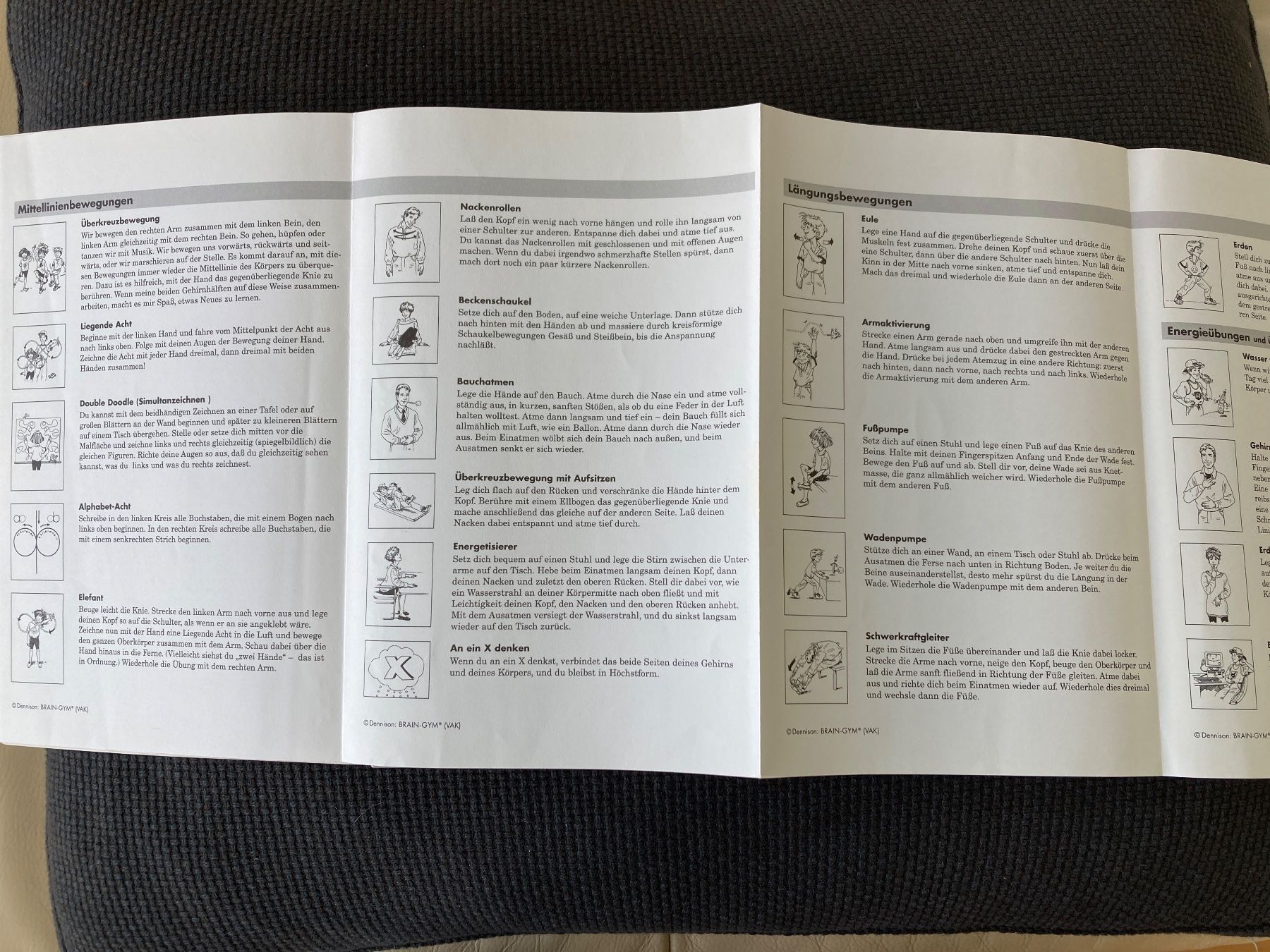Libri: Brain-Gym, Paul E. Dennison, für Kinder – Usato da Baden venduto da Yoyo1 4