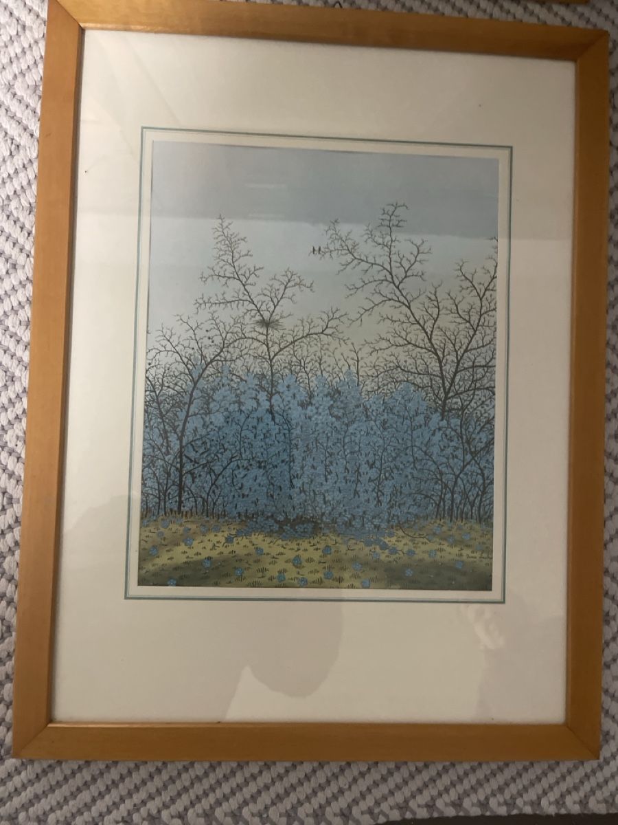 Foto & Immagini: 4er Set Landschaftsbilder mit Rahmen – Usato da Zürich venduto da Belisimo 2