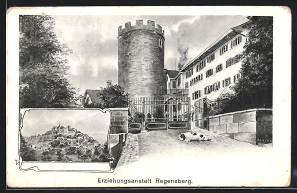 Cartoline postali: Regensberg, Erziehungsanstalt, Teilansic – Usato da Berlin venduto da bartko-reher