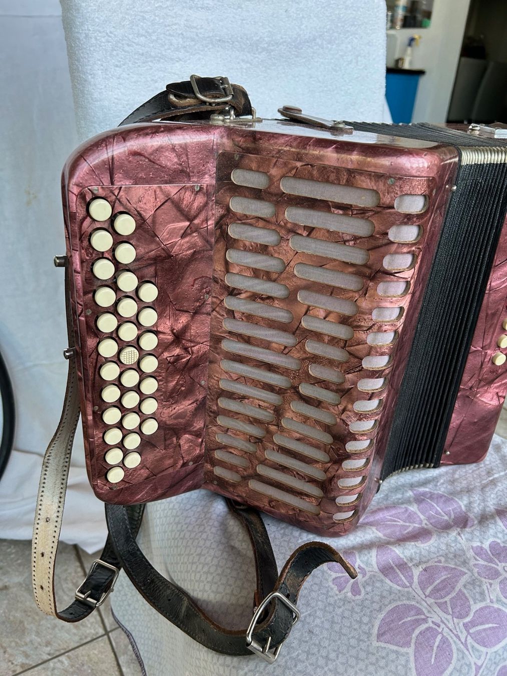 Strumenti musicali: Akkordeon Tell Bachenbülach Model 32A – Usato da Titterten venduto da Ameanrio 1