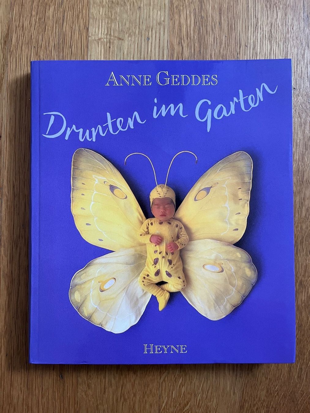 Libri: Bildband "Drunten im Garten", Anne Geddes – Usato da Grosswangen venduto da Vita500