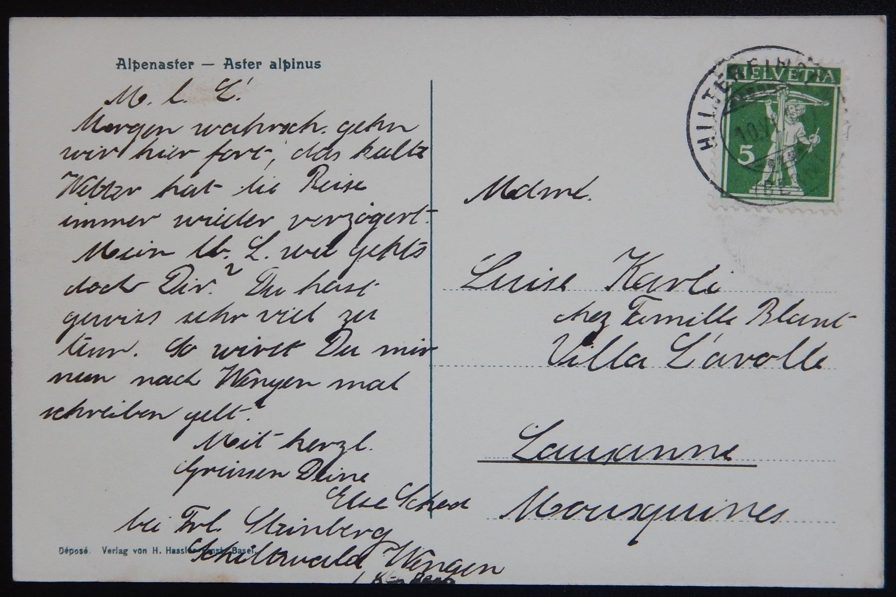 Ansichtskarten: Ansichtskarte Blume Alpenaster 1914 – Neu (gemäss Beschreibung) aus Zürich von Muehlekauf