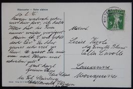 Ansichtskarte Blume Alpenaster 1914