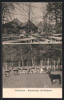 AK Winterthur, Bruderhaus mit Wildpark
