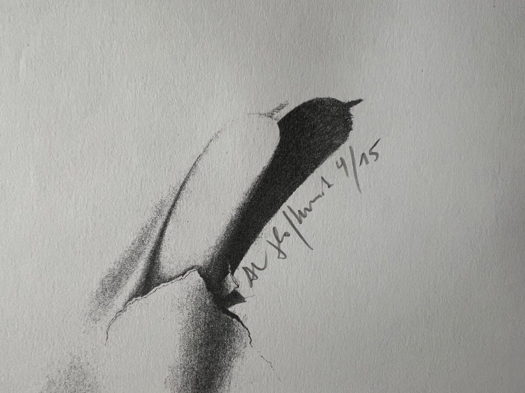 Grafica & Litografie: Alfred Hofkunst, handsigniert, gross – Usato da Rain venduto da Pic-Ass 2