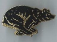 Berner Versicherung Pin