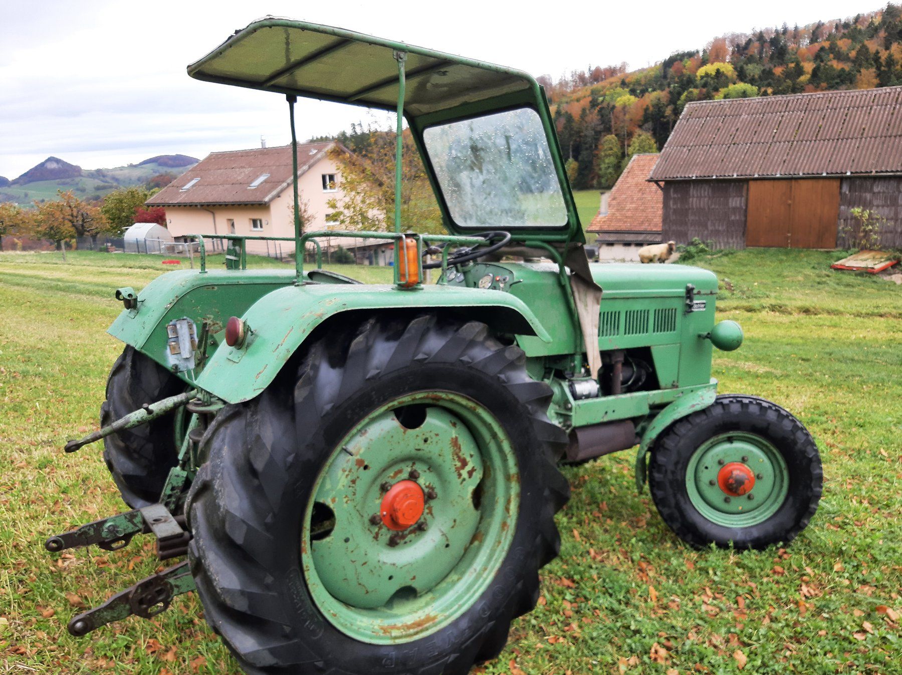 Trattori: Bührer Oldtimer Traktor – Usato da Eptingen venduto da Bobbl1 2