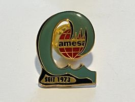 1 Pin Amesi seit 1973