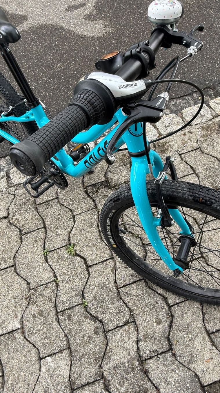 Naloo Biciclette: Naloo Kindervelo – Usato da Wetzikon ZH venduto da jon_gw8f 5