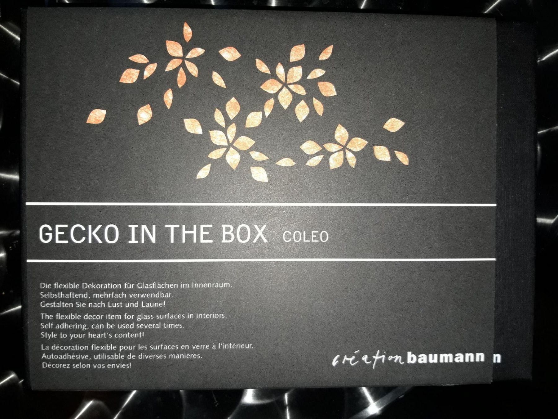 Tutte le decorazioni: Gecko in the Box Coleo – Nuovo e nell'imballaggio originale da Küssnacht am Rigi venduto da mex78