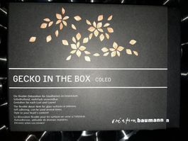 Gecko in the Box Coleo