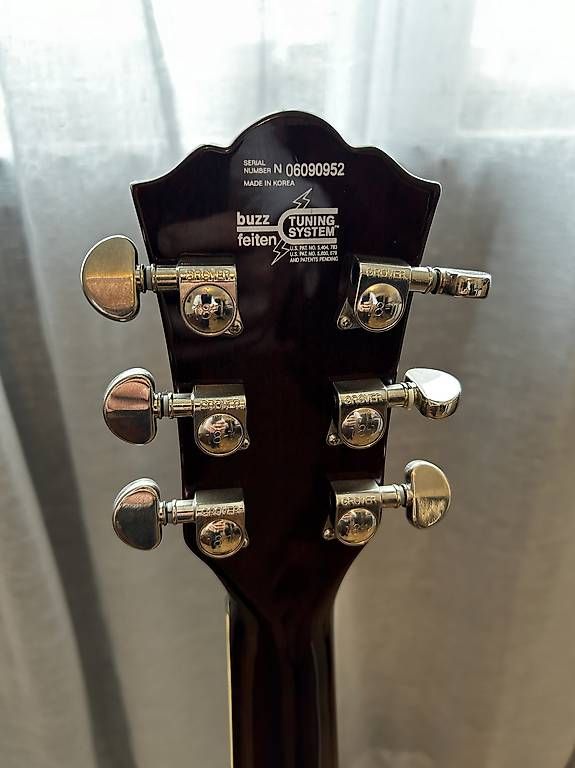 Strumenti musicali: Washburn WI-66PROQ – Usato da Neuheim venduto da kuhubli 4
