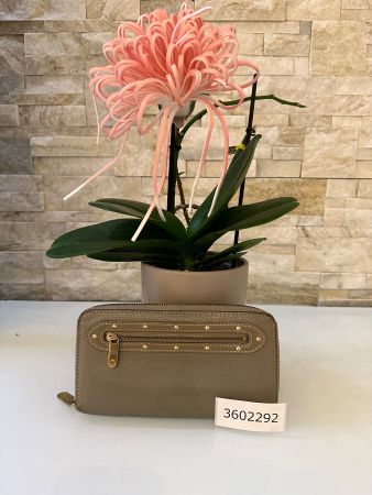 Louis Vuitton long Wallet Beige