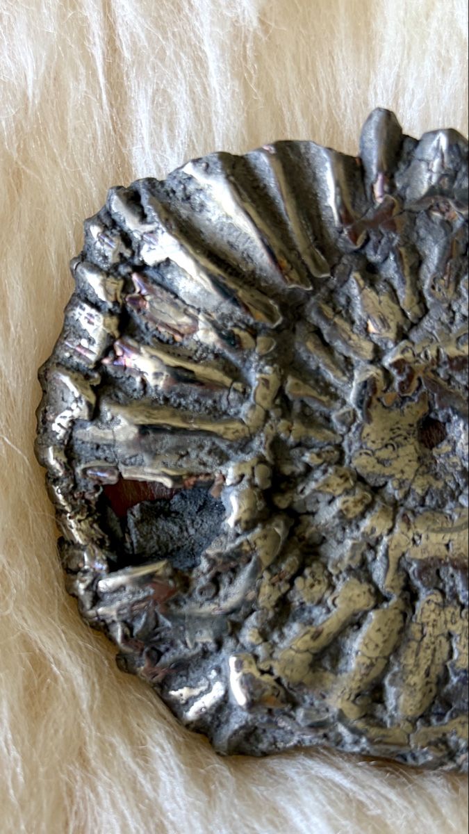 Fossili: Ammonit pyritisiert. 120 Mio Jahre alt – Nuovo (secondo la descrizione) da Adliswil venduto da Moroz173 3