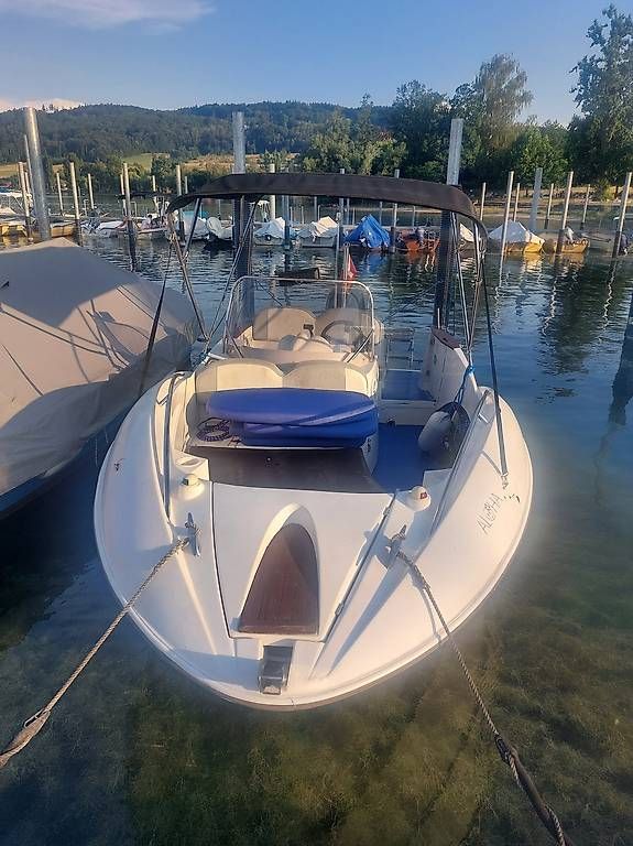 Barche: Quicksilver 505 – Usato da Ossingen venduto da Rolfmetzger 2