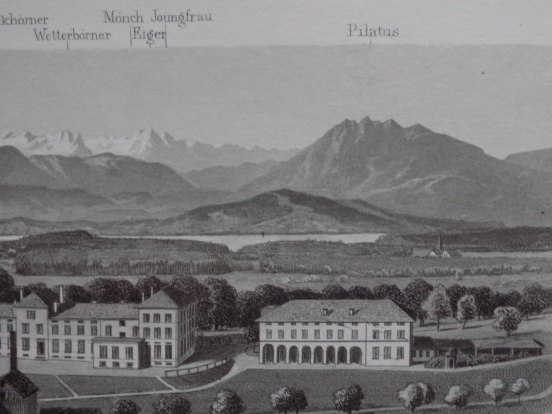 Incisioni: Albisbrunn Zürich – Usato da Risch venduto da Rischli15 6