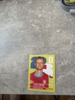 Panini CZE 6