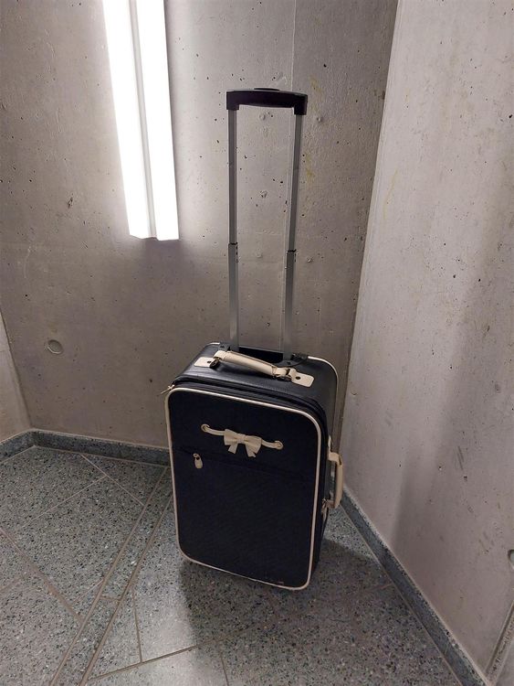 PRIMARK Travel Trolley Case Kaufen auf Ricardo