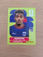 Panini Fifa CPV 7