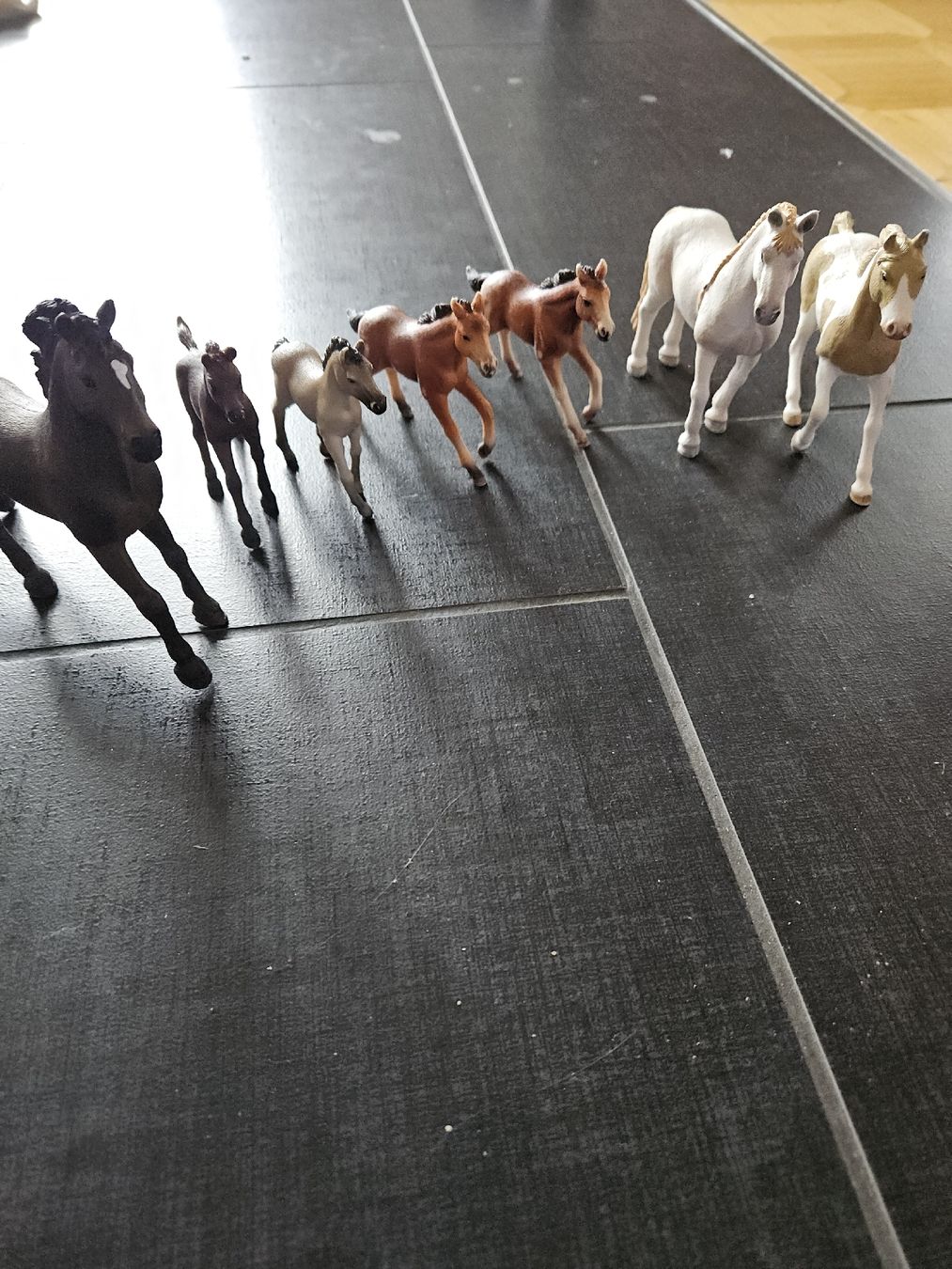 Schleich Statuette: verschiedene Schleichpferde/ Fohlen – Usato da Wilen b. Wil venduto da RamonaL 1