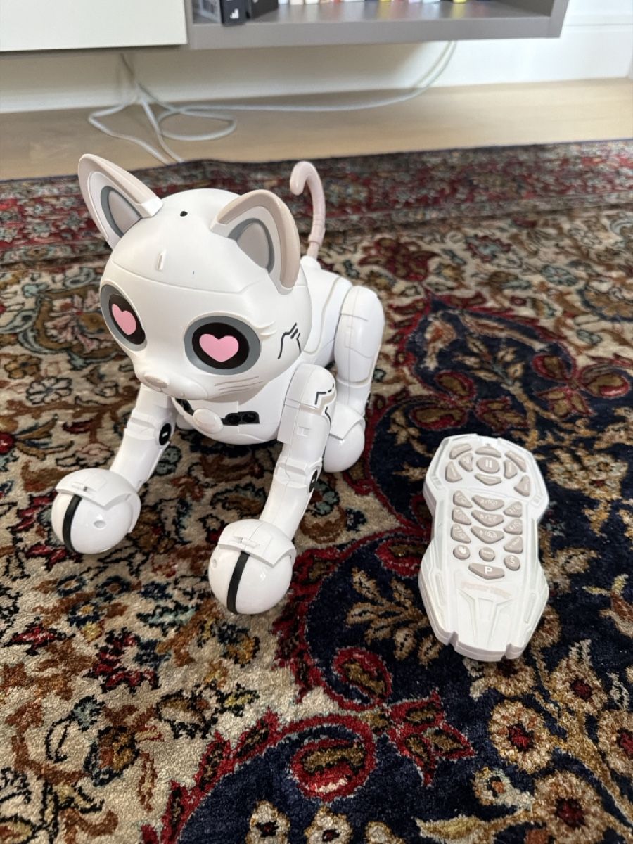 Giocattoli: Lexibook minou robotique – Usato da COMMUGNY venduto da toutdoitdisparaitre