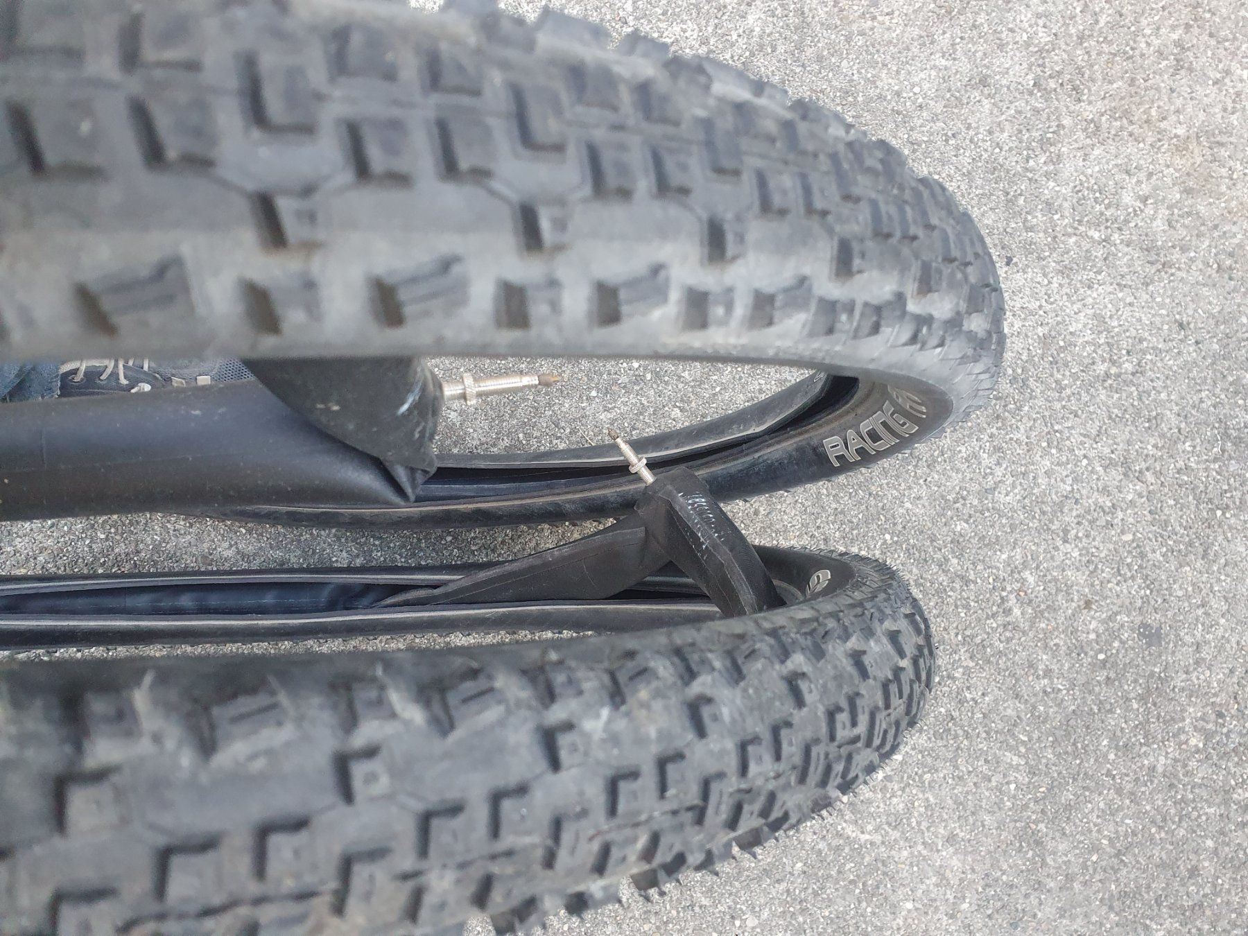 Pezzi di ricambio: Schwalbe Racing Ralph 2Stk. 26 x 2.25 – Usato da Münchenstein venduto da Clairejessica 2