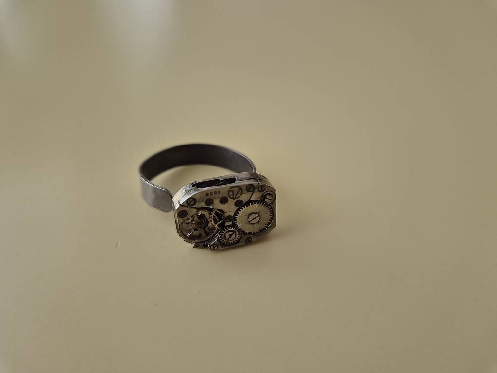 Bagues: Ringe – D'occasion à Steffisburg par leizte74 1