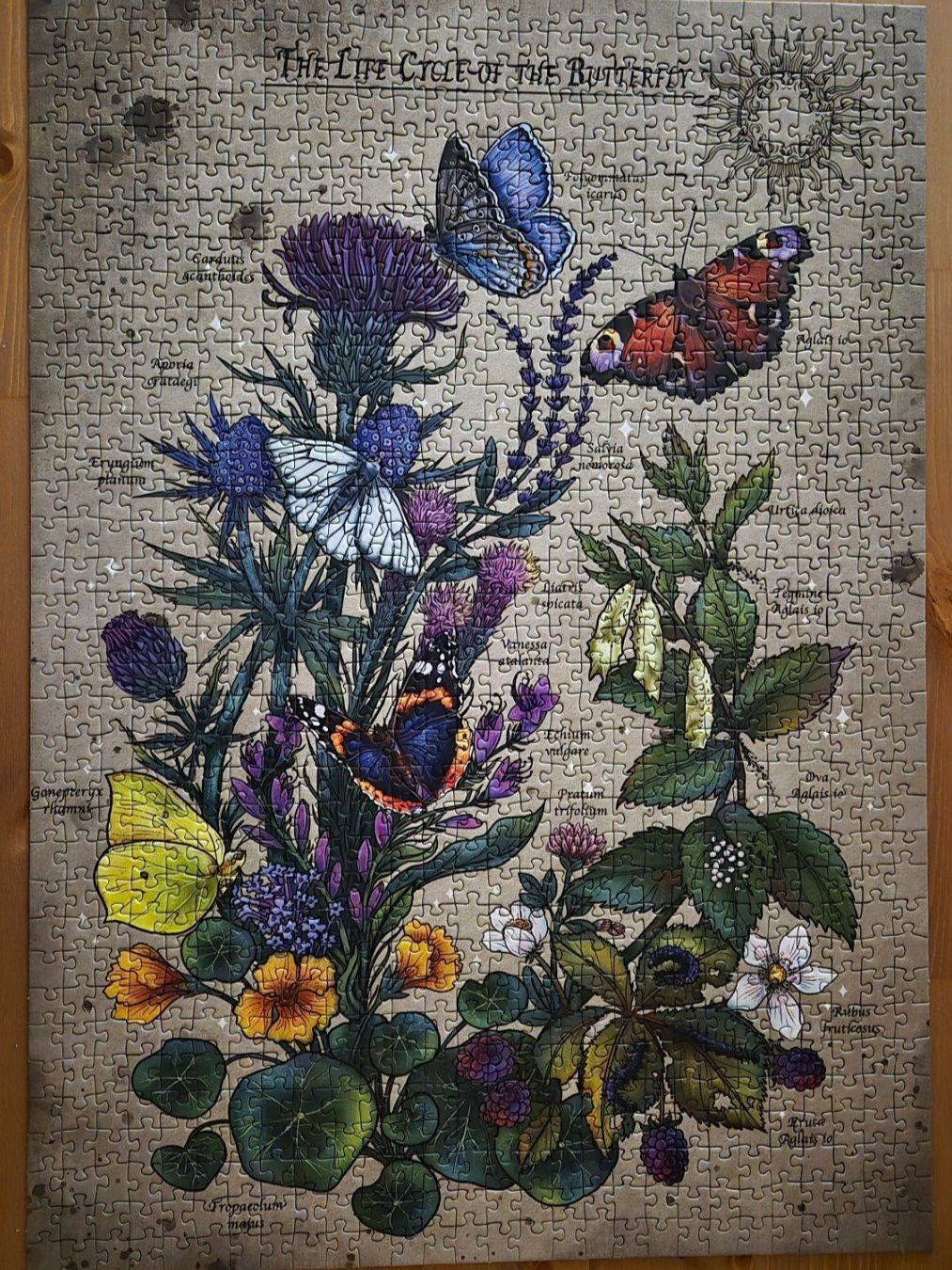 Ravensburger Puzzles: Puzzle – Gebraucht aus Zürich von kev_28lb 1