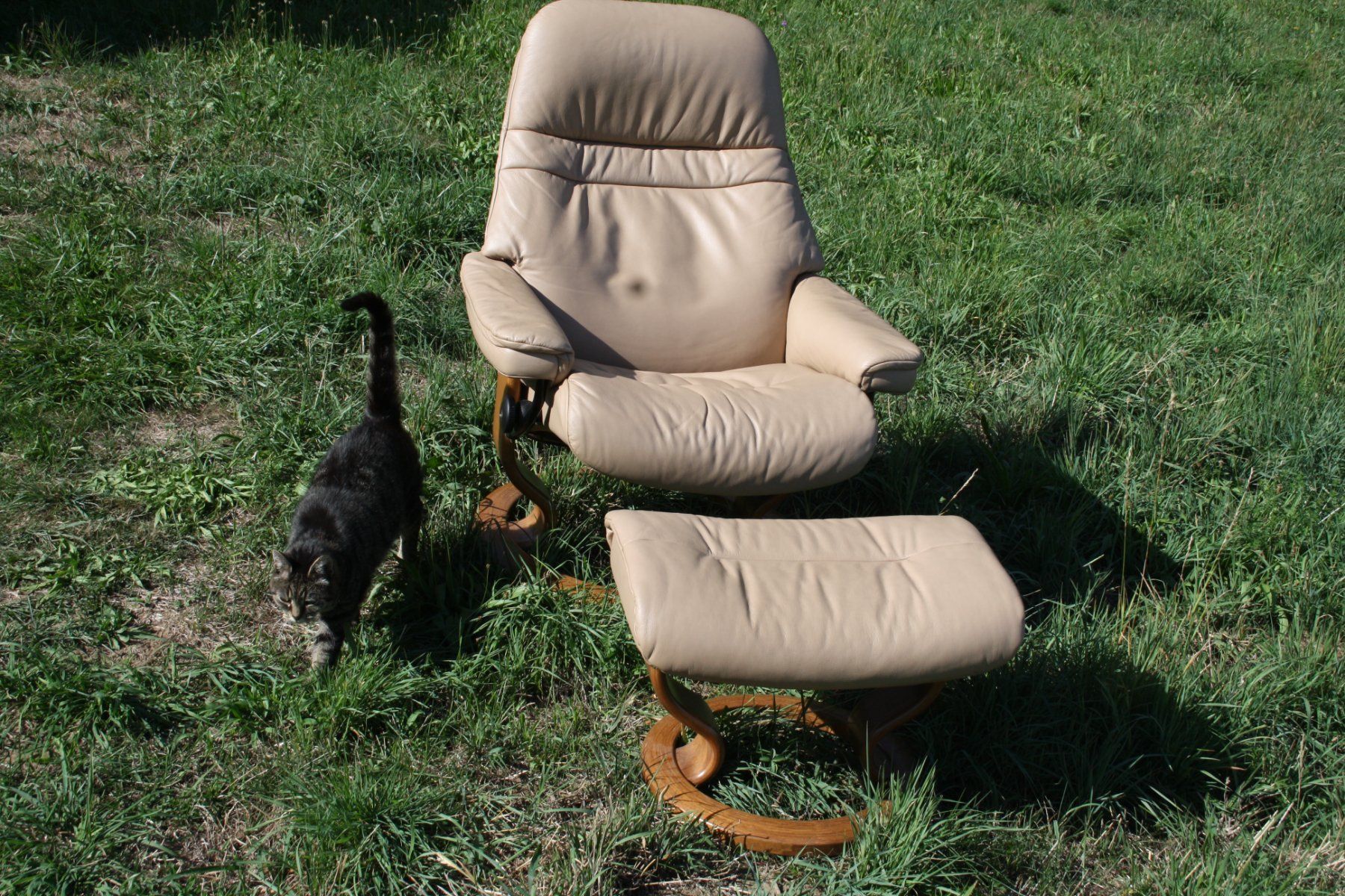 Stressless Poltrone: Stressless Relaxsessel mit Hocker Sessel – Usato da Wauwil venduto da Vintagesky 7