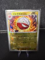 SV2A JAP - Electrode (101) MasterBall