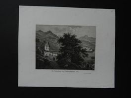 Lützelau am Vierwaldstättersee