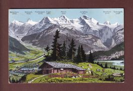 BERNER OBERLAND - 1909 // Eckbug //