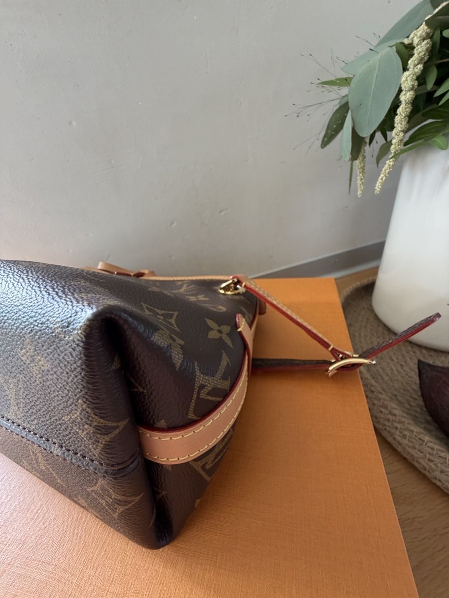Louis Vuitton Borse da donna: Louis Vuitton Carry All BB – Nuovo (secondo la descrizione) da Murten venduto da nici1973 4