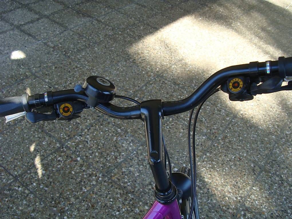 Biciclette: Damen Velo – Usato da Belp venduto da fam_schumacher 2