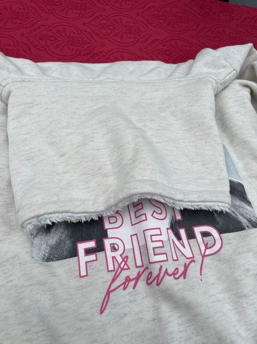 Maglioni & Felpe: Mädchen Pullover gefüttert mit Pferden pageone young 146/152 – Usato da Bergdietikon venduto da antovale 1